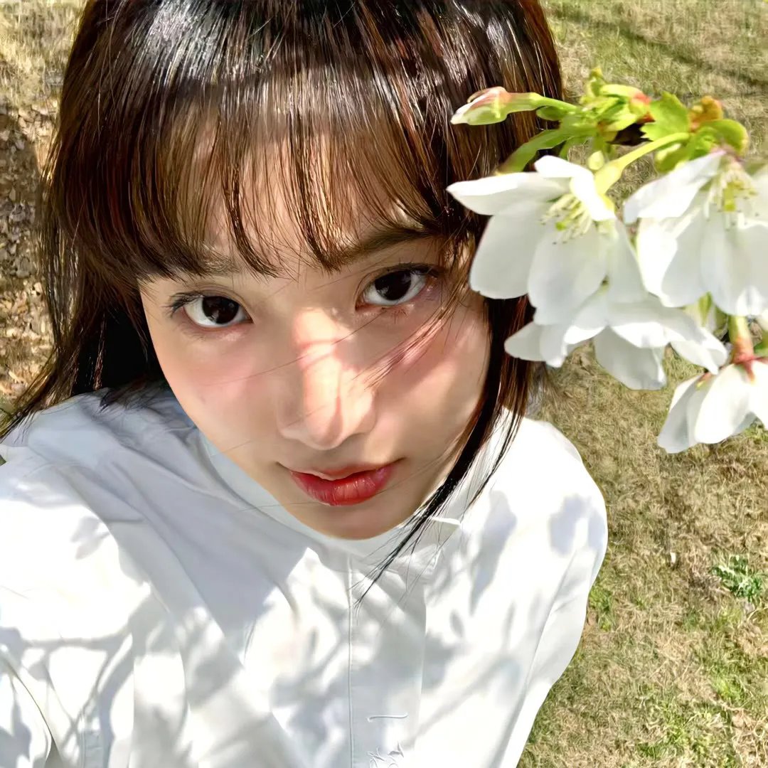 特务乌龙王